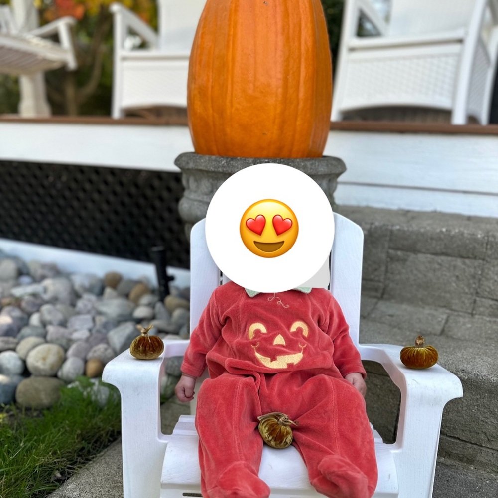 Cow and pumpkin baby onesie